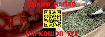 сатива Бузулук