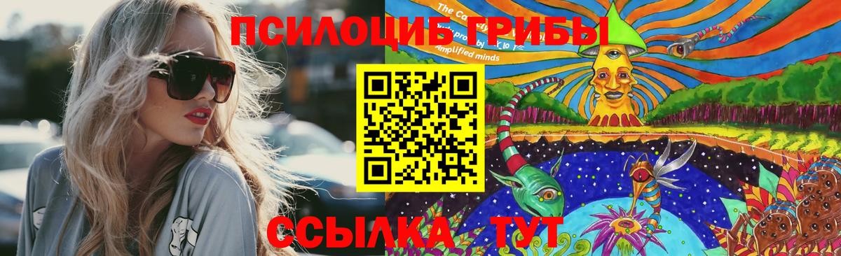 Галлюциногенные грибы прущие грибы Морозовск